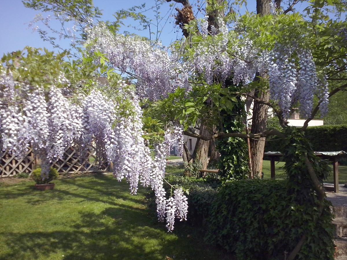 L'Ape In Corte Casa Di Campagna, Via Francigena Stanze E Colazione Vaccarizza Esterno foto