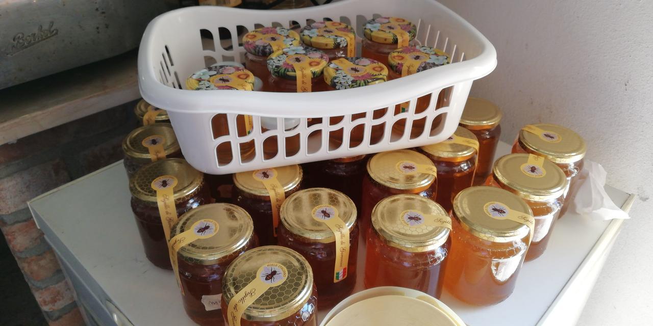 L'Ape In Corte Casa Di Campagna, Via Francigena Stanze E Colazione Vaccarizza Esterno foto